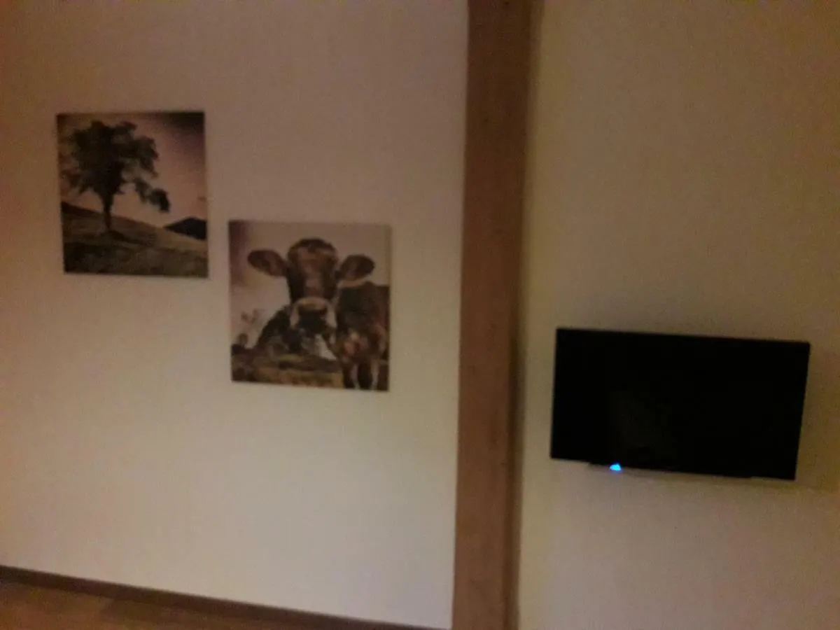 Guest house Gaestehaus Boeckli